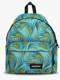 brize palm aqua