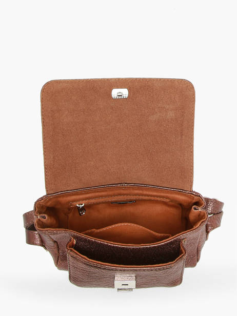 Crossbody Bag Vintage Paul marius Gold vintage DIANEXS other view 3