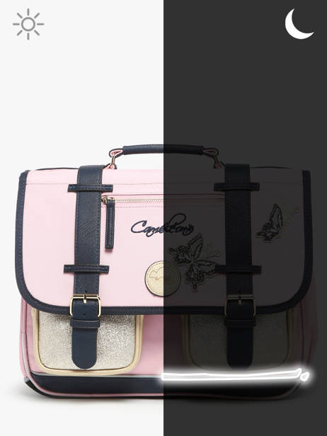 2-compartment Satchel Cameleon Pink vintage family boulanger CA35 other view 7