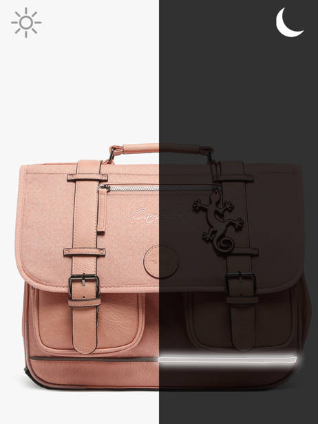 2-compartment Satchel Cameleon Pink vintage color CA146Q other view 8