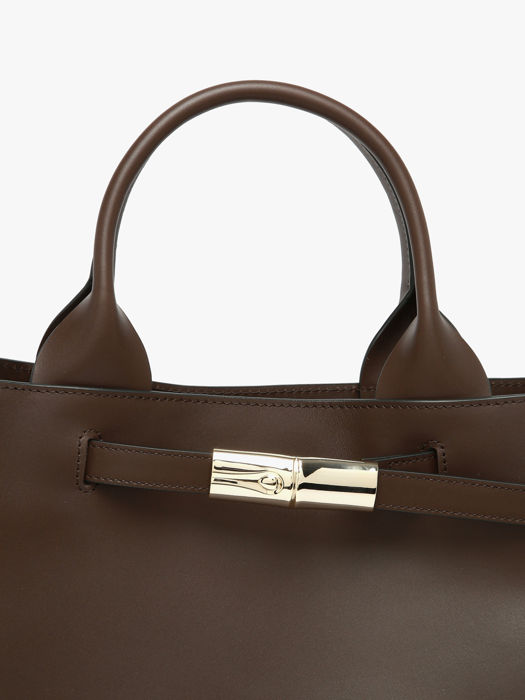 Longchamp Le smart Handbag Brown