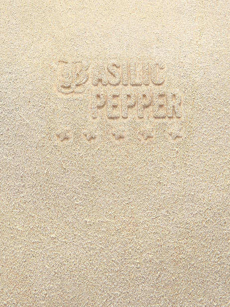 Leather Houston A4 Shoulder Bag Basilic pepper Beige houston BHOU31 other view 5