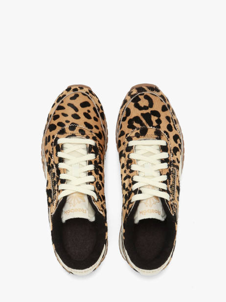 Sneakers Reebok Brown accessoires 255853 other view 3