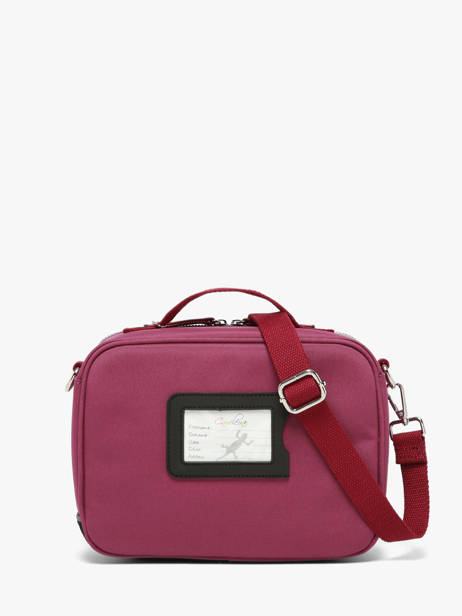 Sac Gouter Vintage Fantasy Cameleon Violet vintage fantasy BL24 vue secondaire 3