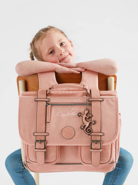 2-compartment Satchel Cameleon Pink vintage color CA146Q other view 2