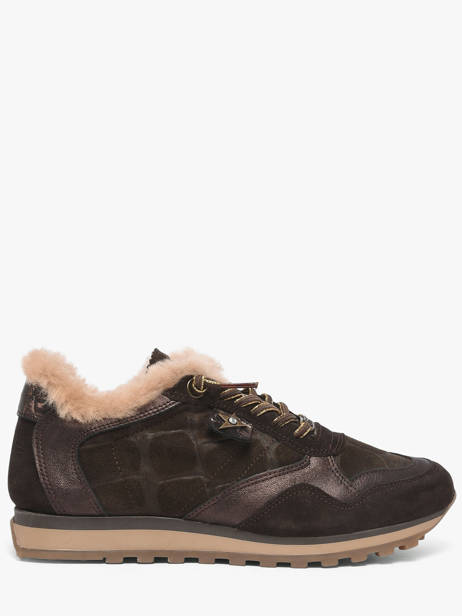 Sneakers Cetti Brown accessoires SRA