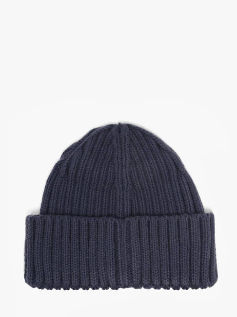 Beanie Dickies Blue accessoires DK0A4Z2O other view 2